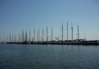 Galeriebild 15