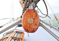 Galeriebild 0