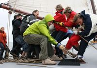 Galeriebild 0