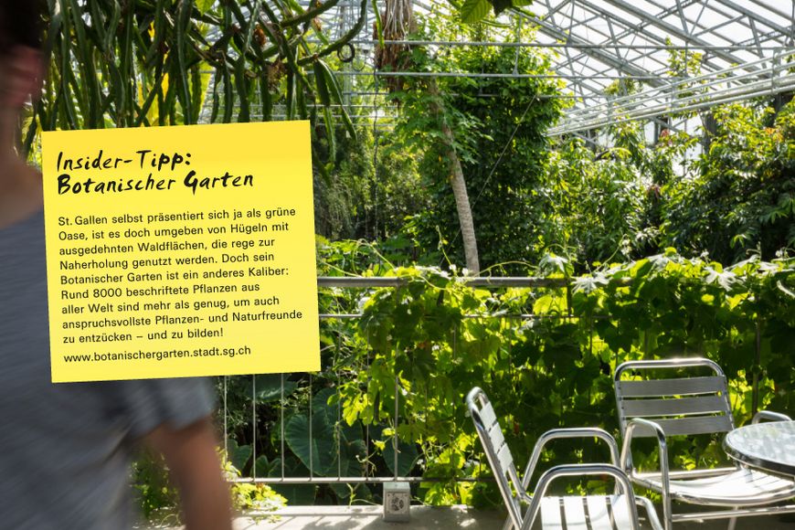 St. Gallen selbst präsentiert sich ja als grüne Oase, ist es doch umgeben von Hügeln mit ausgedehnten Waldflächen, die rege zur Naherholung genutzt werden. Doch sein Botanischer Garten ist ein anderes Kaliber: Rund 8000 beschriftete Pflanzen aus aller Welt sind mehr als genug, um auch anspruchsvollste Pflanzen- und Naturfreunde zu entzücken – und zu bilden!