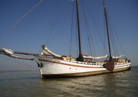 Galeriebild 0