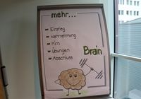 Galeriebild 12