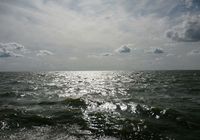 Galeriebild 1
