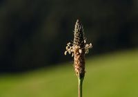 Galeriebild 3