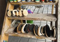 Galeriebild 1