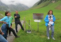 Galeriebild 16