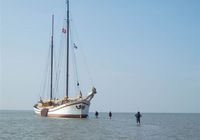 Galeriebild 0