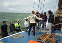 Galeriebild 12