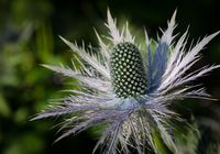 Galeriebild 4