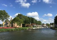Galeriebild 1