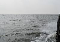 Galeriebild 15