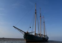 Galeriebild 11