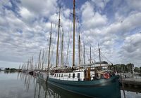 Galeriebild 0