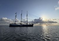 Galeriebild 0