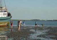Galeriebild 6