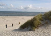 Galeriebild 0