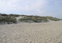 Galeriebild 12