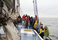Galeriebild 9