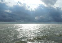 Galeriebild 0