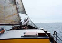 Galeriebild 6