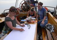 Galeriebild 12