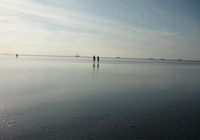Galeriebild 6
