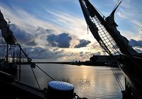 Galeriebild 10