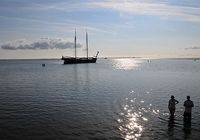 Galeriebild 5