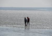 Galeriebild 10
