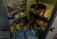 Galeriebild 1