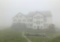 Galeriebild 1
