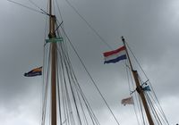 Galeriebild 0