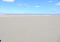 Galeriebild 0