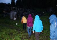 Galeriebild 3