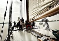 Galeriebild 0
