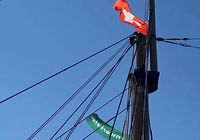 Galeriebild 0