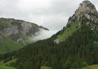 Galeriebild 2