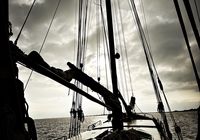 Galeriebild 0