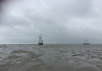 Galeriebild 5
