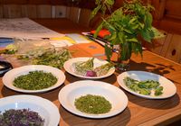 Galeriebild 10