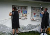 Galeriebild 8