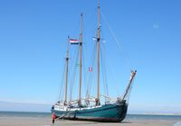Galeriebild 0
