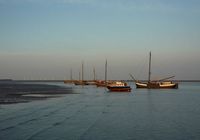 Galeriebild 7