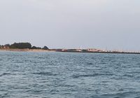 Galeriebild 11