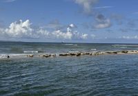 Galeriebild 0