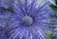Galeriebild 0
