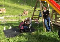 Galeriebild 8