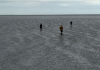 Galeriebild 5