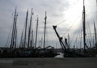 Galeriebild 12