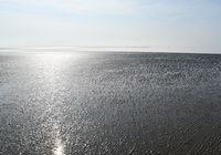 Galeriebild 11